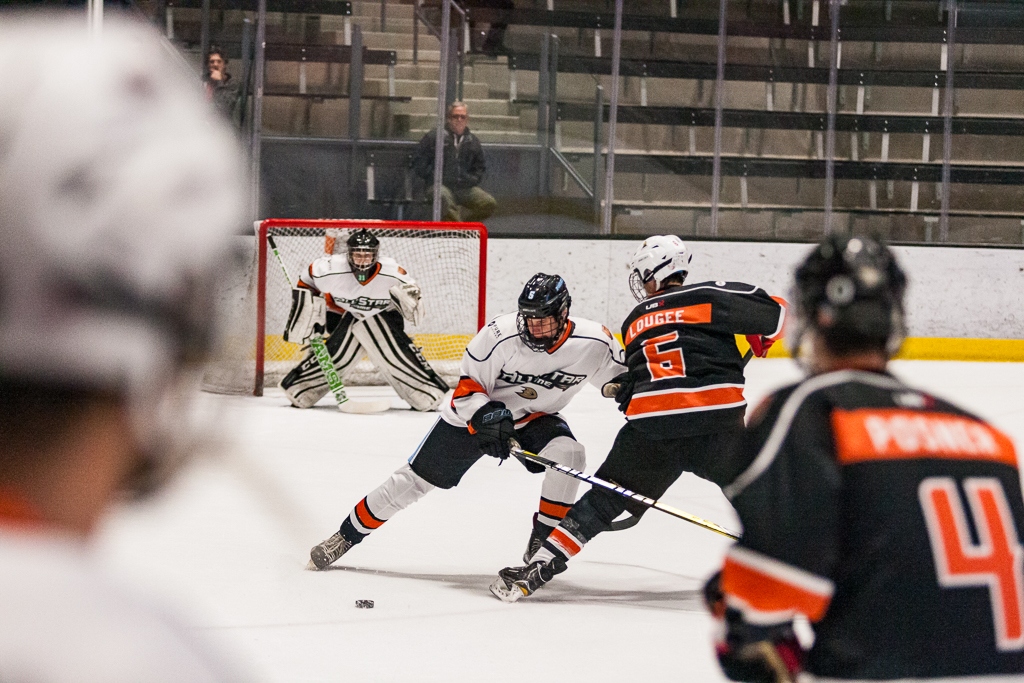 2020 ADHSHL All Star Game