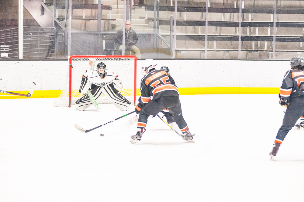 2020 ADHSHL All Star Game
