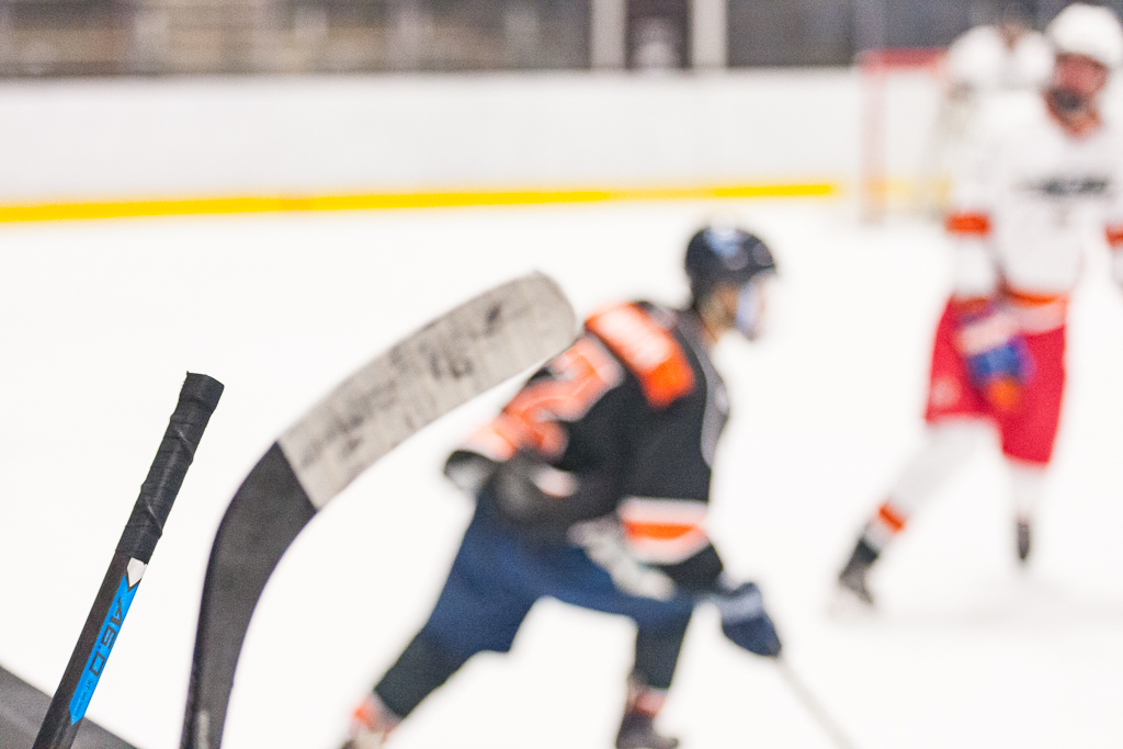 2020 ADHSHL All Star Game