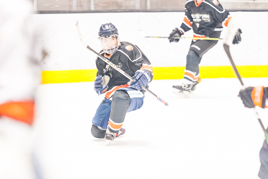 2020 ADHSHL All Star Game