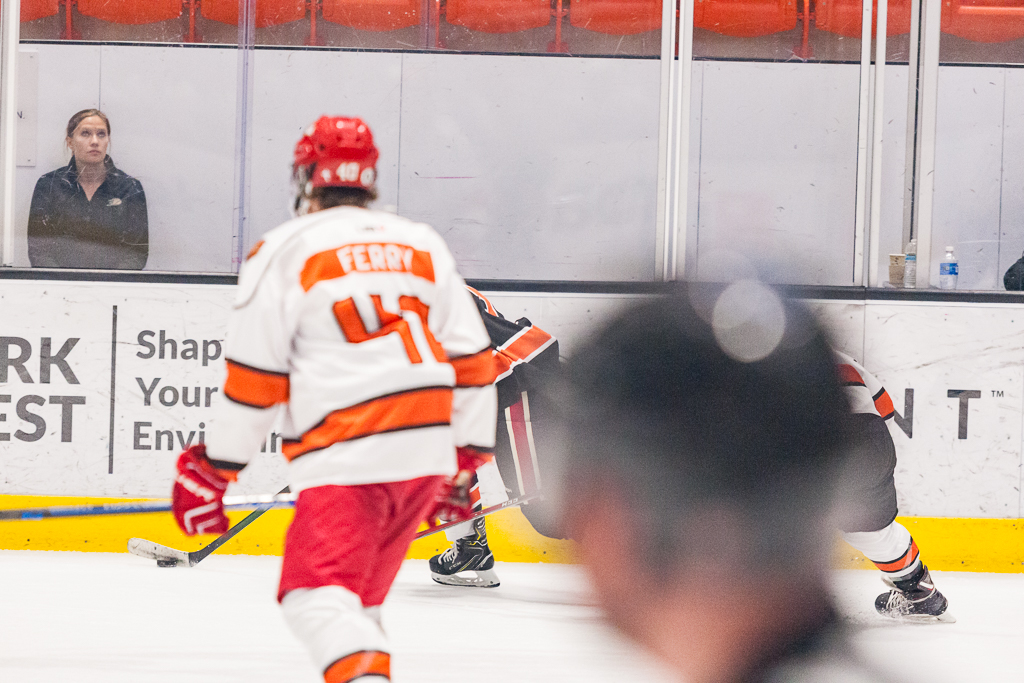 2020 ADHSHL All Star Game