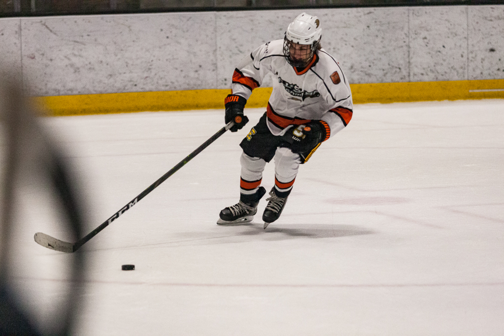 2020 ADHSHL All Star Game