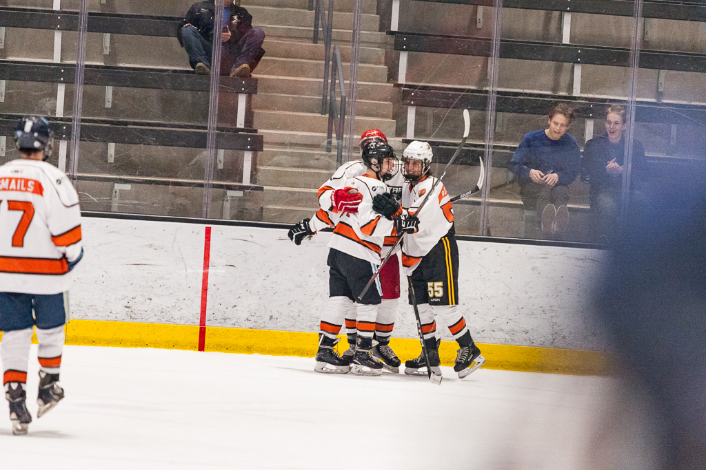 2020 ADHSHL All Star Game