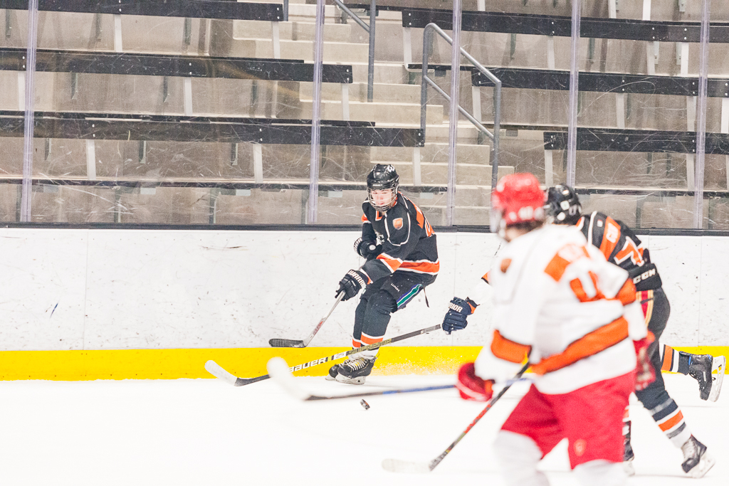 2020 ADHSHL All Star Game