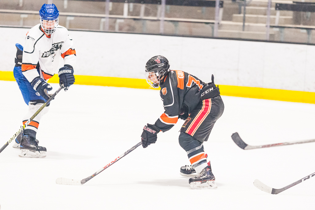 2020 ADHSHL All Star Game
