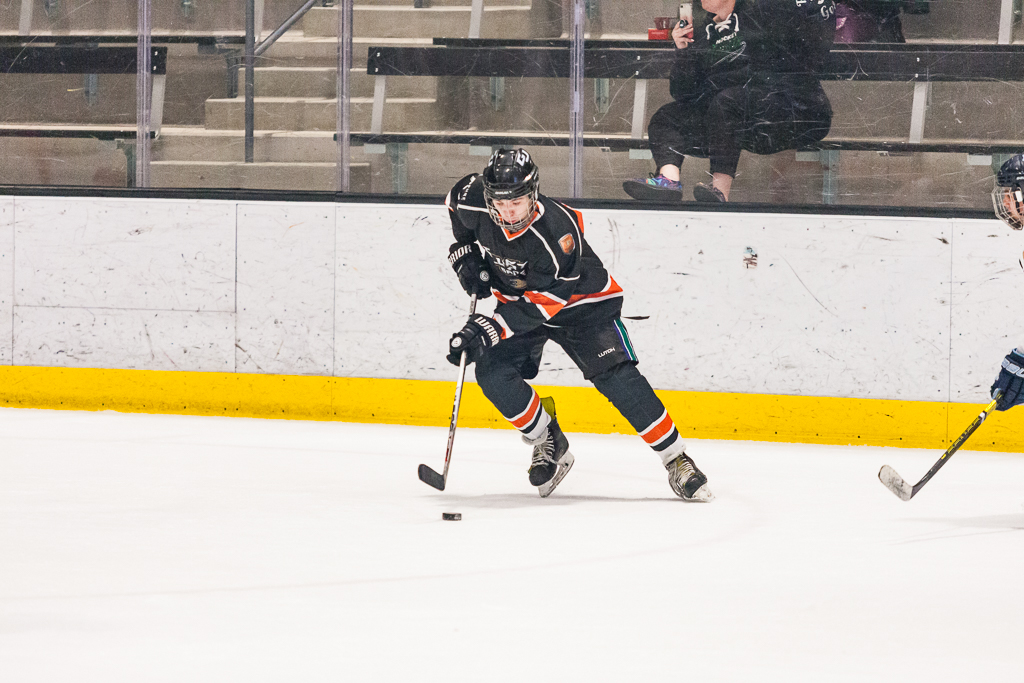 2020 ADHSHL All Star Game