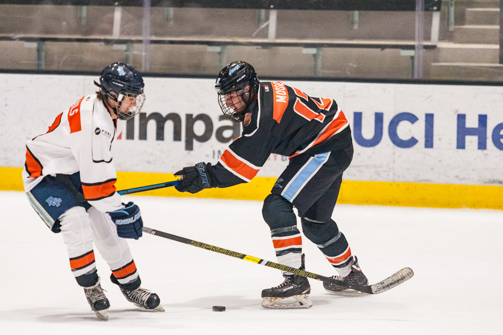 2020 ADHSHL All Star Game