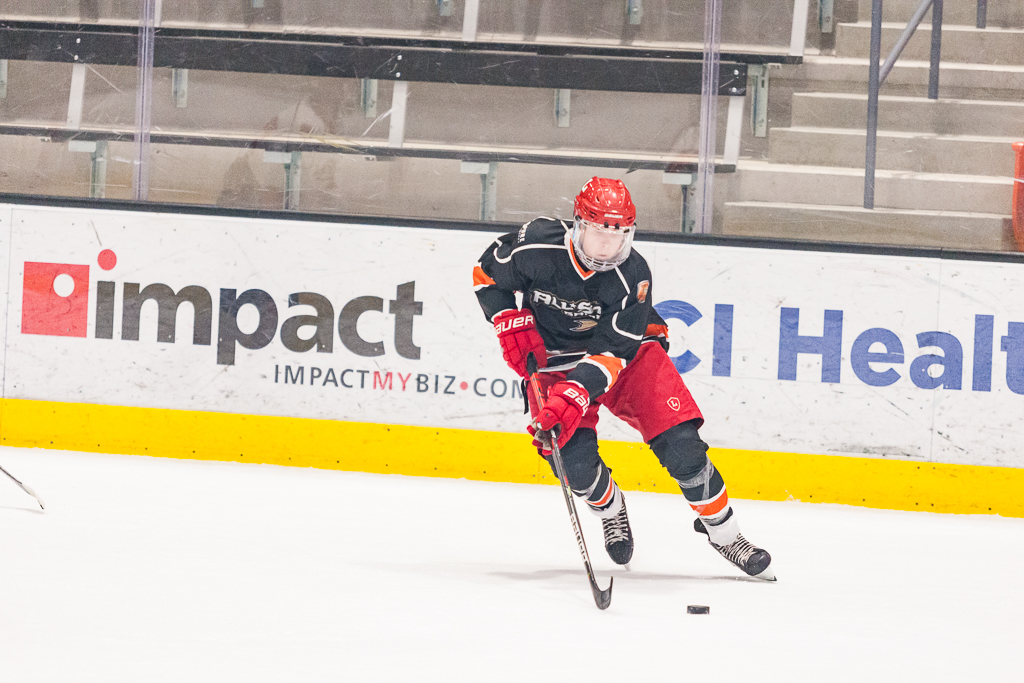2020 ADHSHL All Star Game