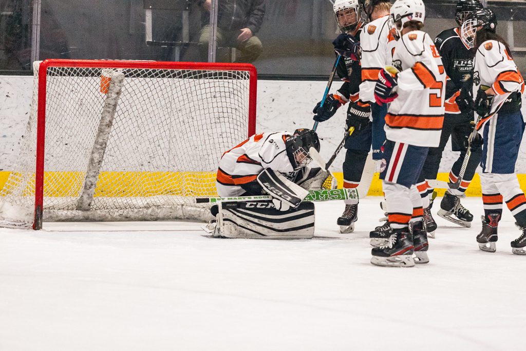 2020 ADHSHL All Star Game