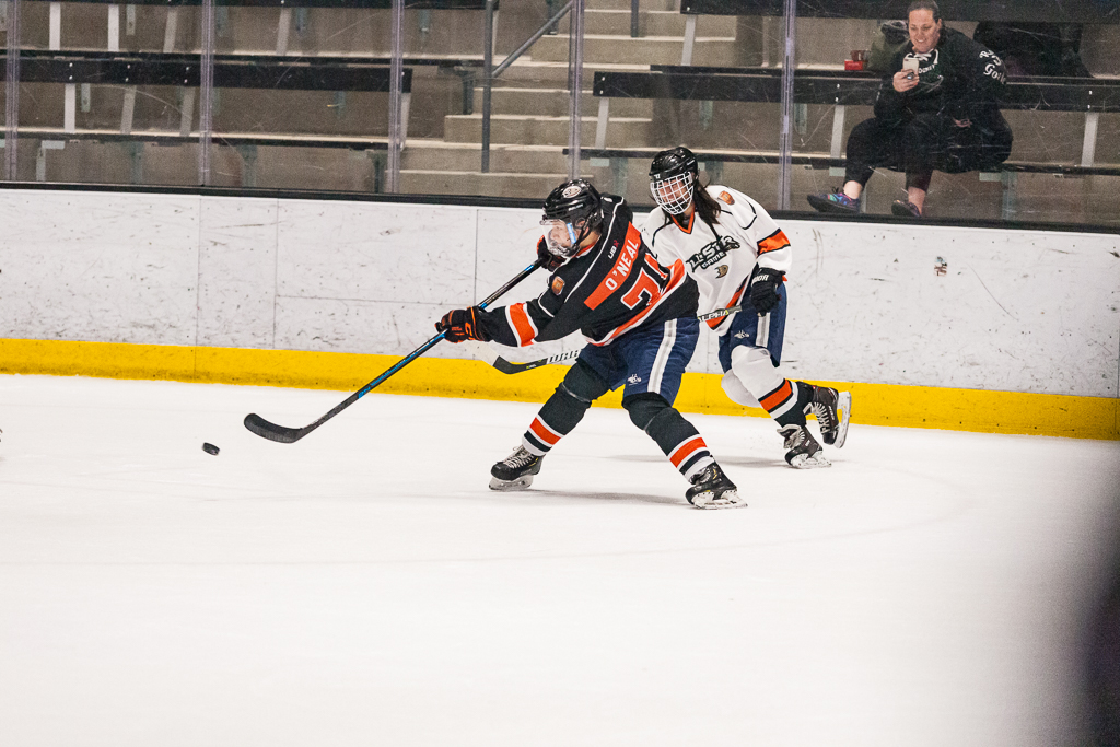 2020 ADHSHL All Star Game