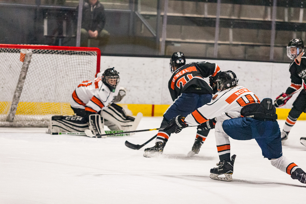 2020 ADHSHL All Star Game