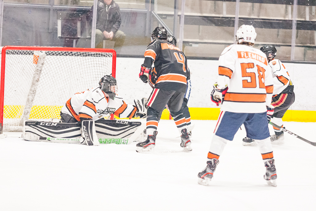 2020 ADHSHL All Star Game