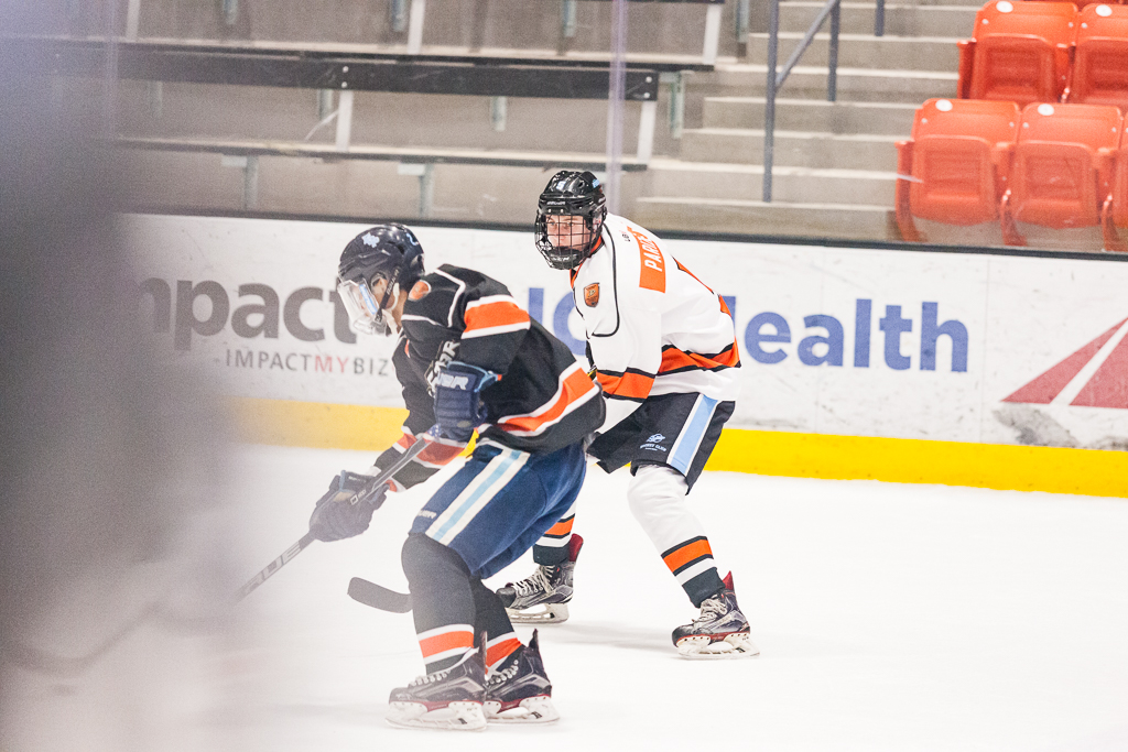 2020 ADHSHL All Star Game