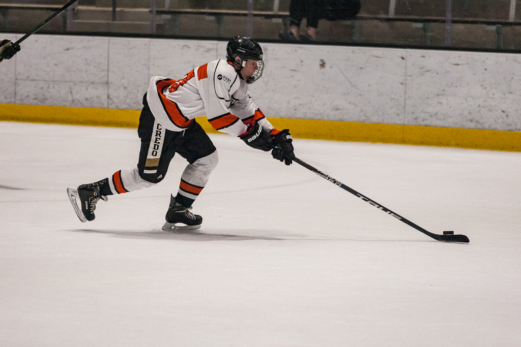 2020 ADHSHL All Star Game