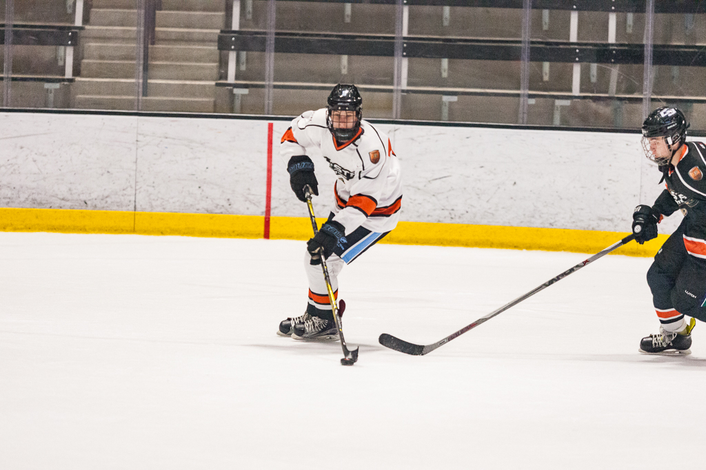 2020 ADHSHL All Star Game