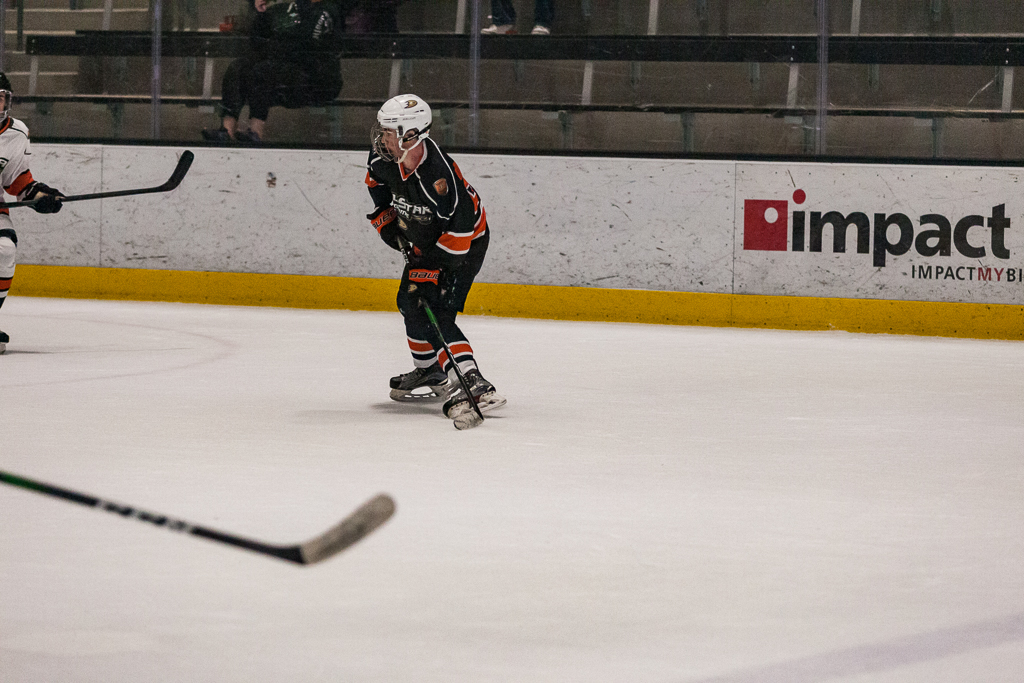 2020 ADHSHL All Star Game