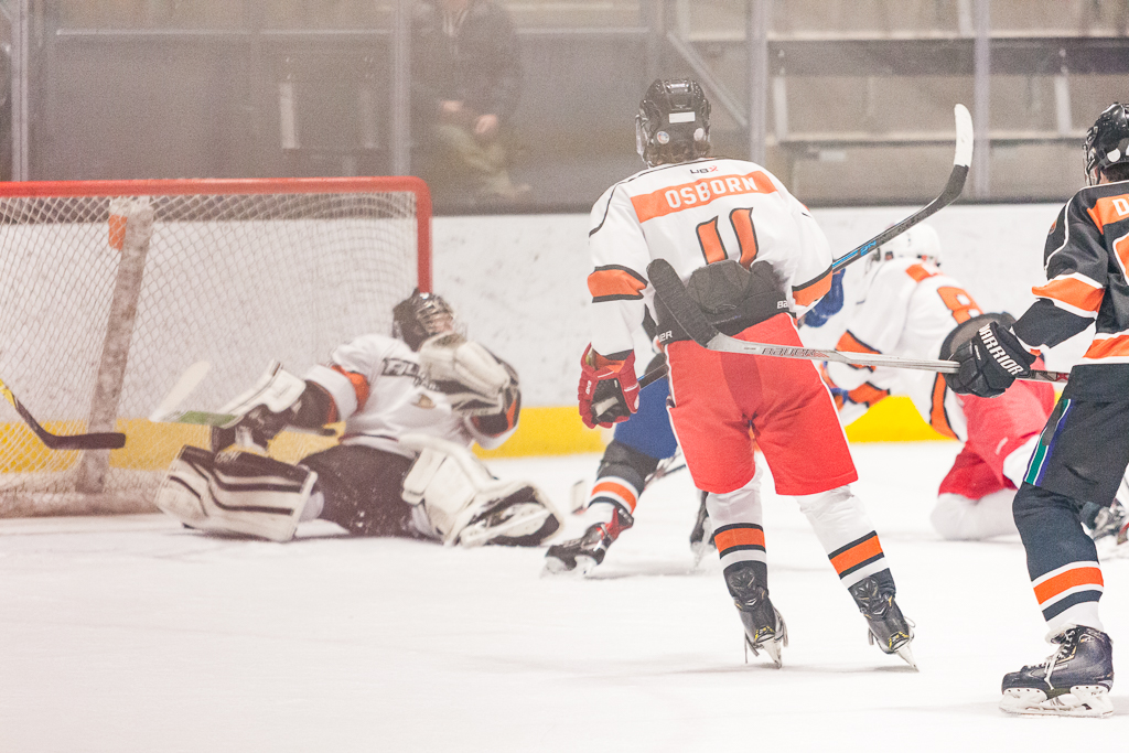 2020 ADHSHL All Star Game