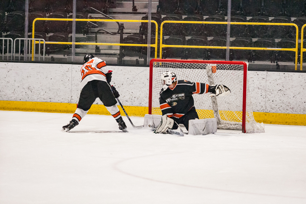2020 ADHSHL All Star Game