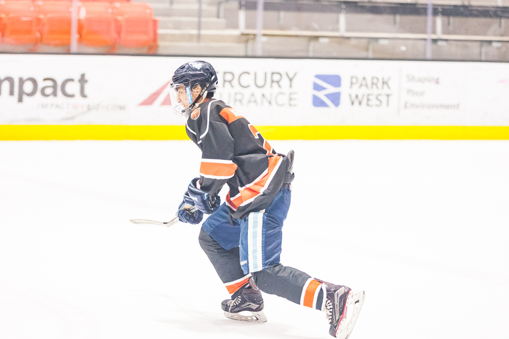 2020 ADHSHL All Star Game
