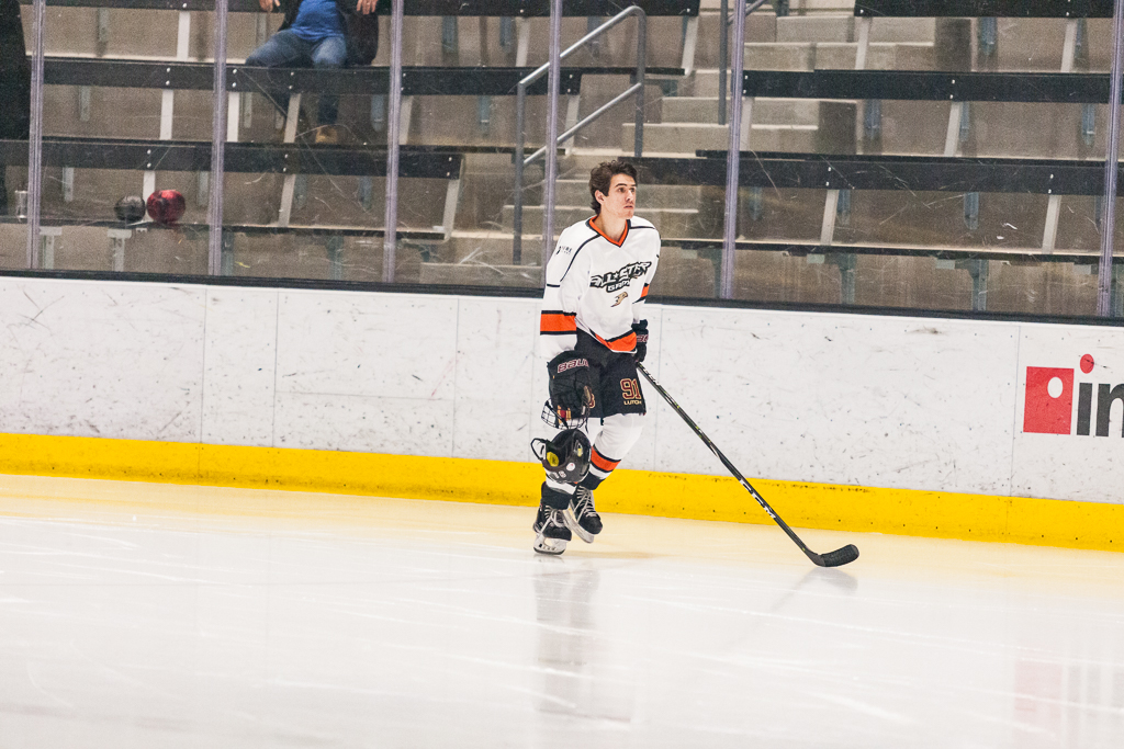 2020 ADHSHL All Star Game