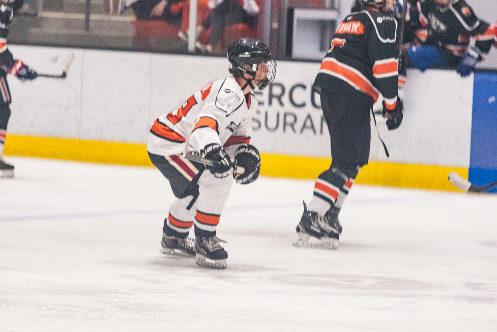 2020 ADHSHL All Star Game