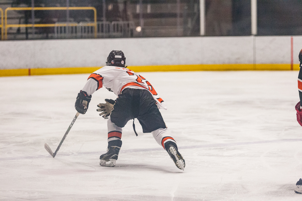 2020 ADHSHL All Star Game
