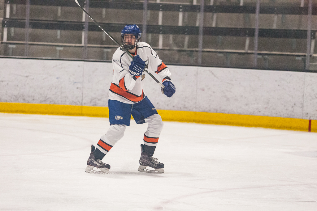 2020 ADHSHL All Star Game