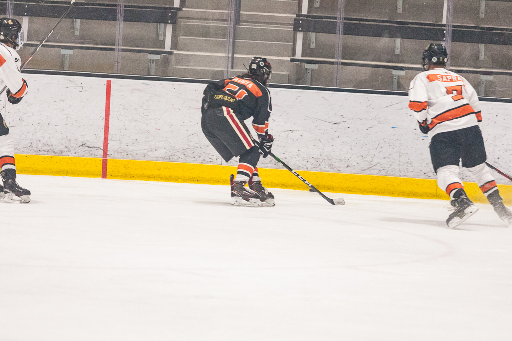 2020 ADHSHL All Star Game