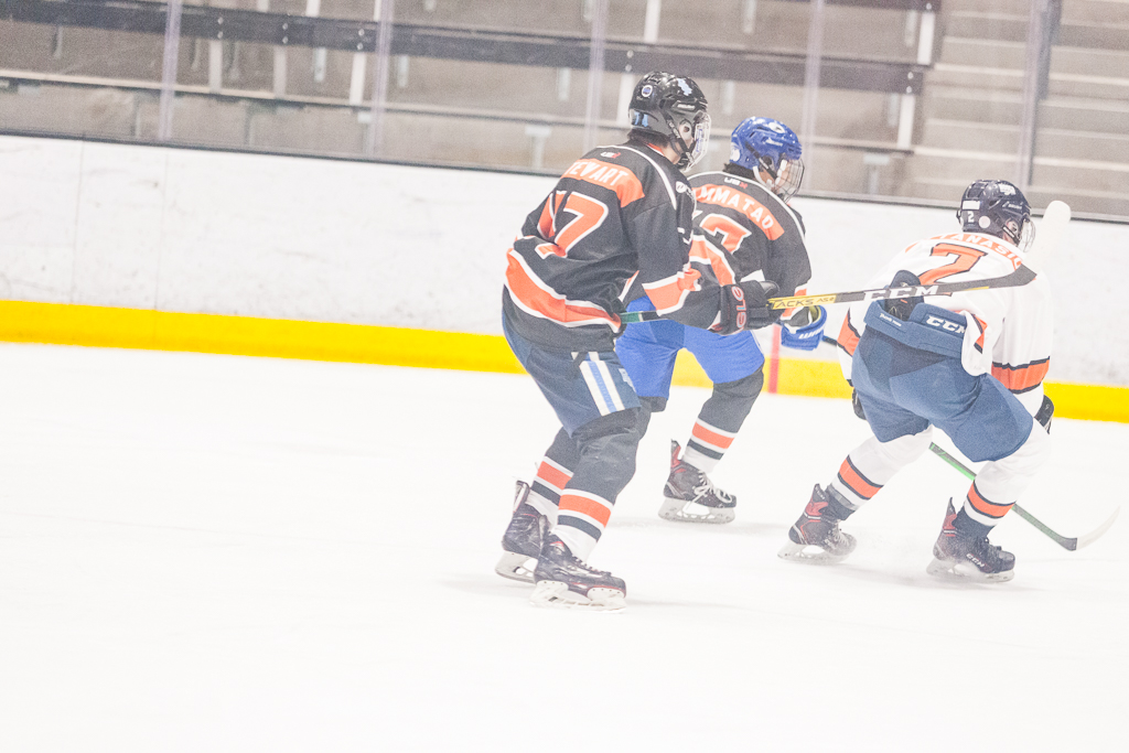 2020 ADHSHL All Star Game