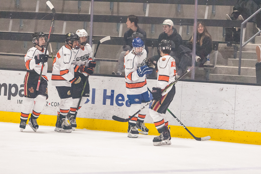 2020 ADHSHL All Star Game