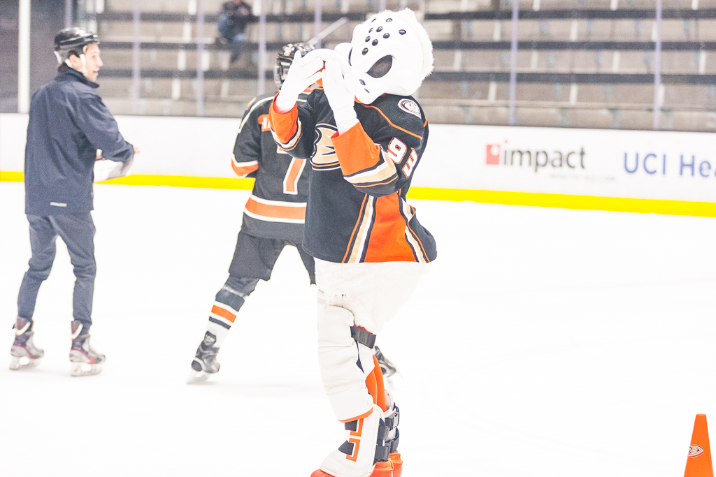 2020 ADHSHL All Star Game