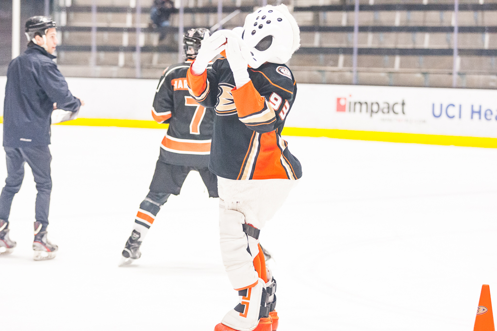 2020 ADHSHL All Star Game