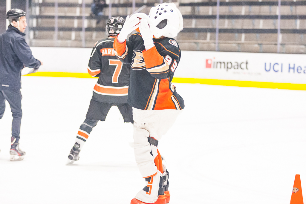 2020 ADHSHL All Star Game