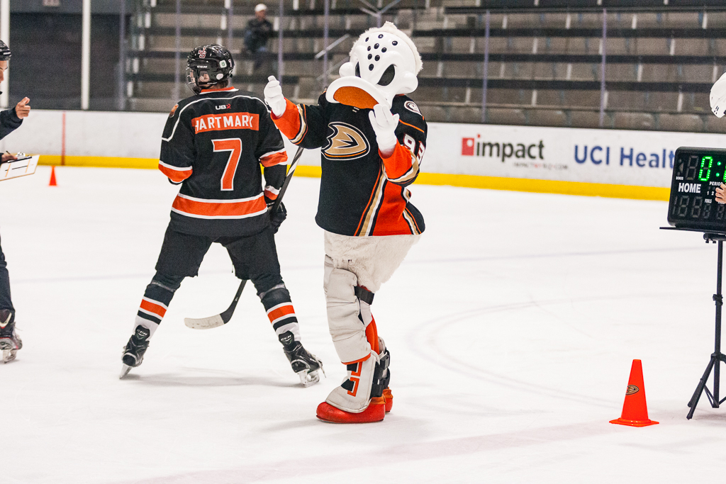 2020 ADHSHL All Star Game