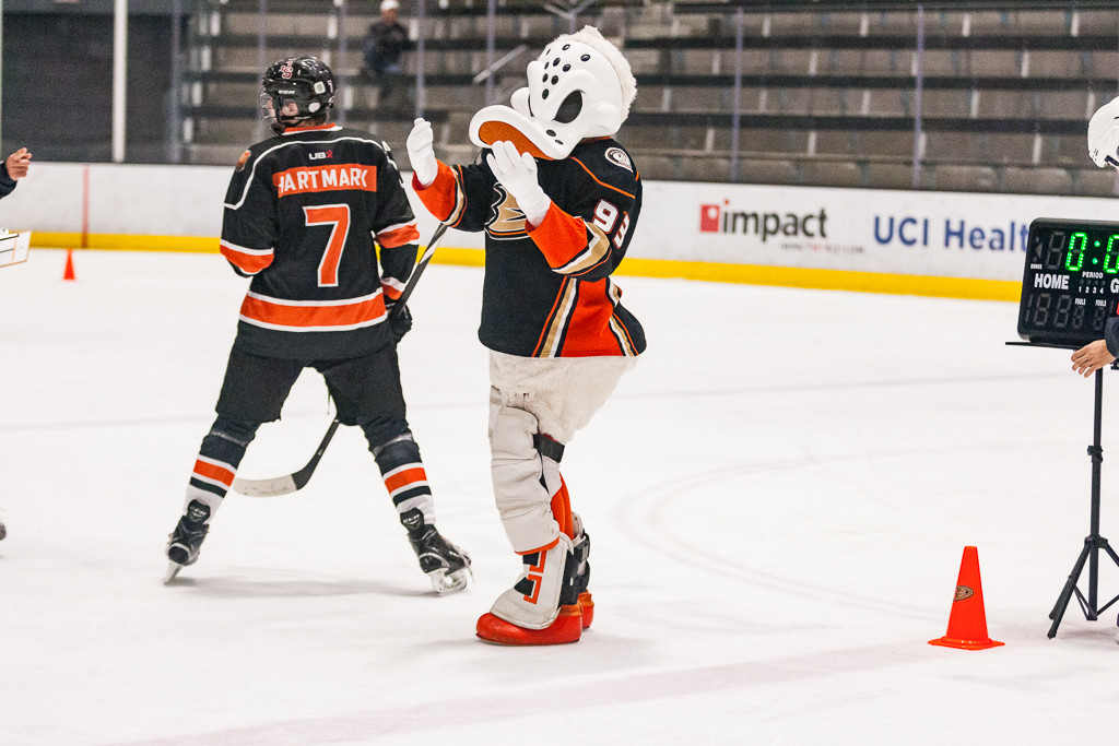 2020 ADHSHL All Star Game