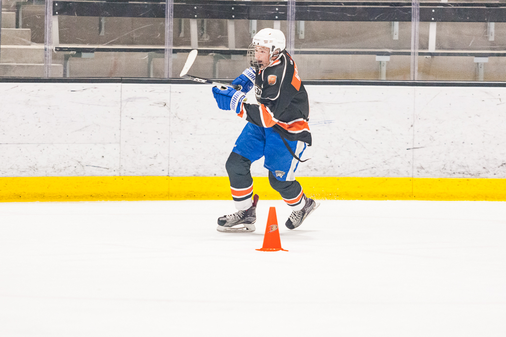 2020 ADHSHL All Star Game