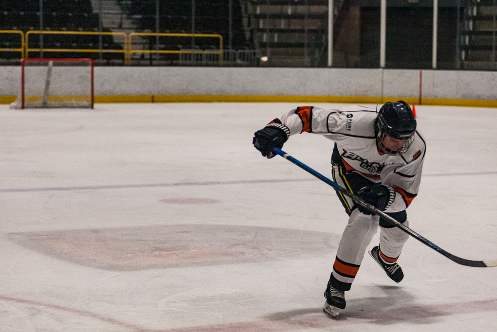 2020 ADHSHL All Star Game
