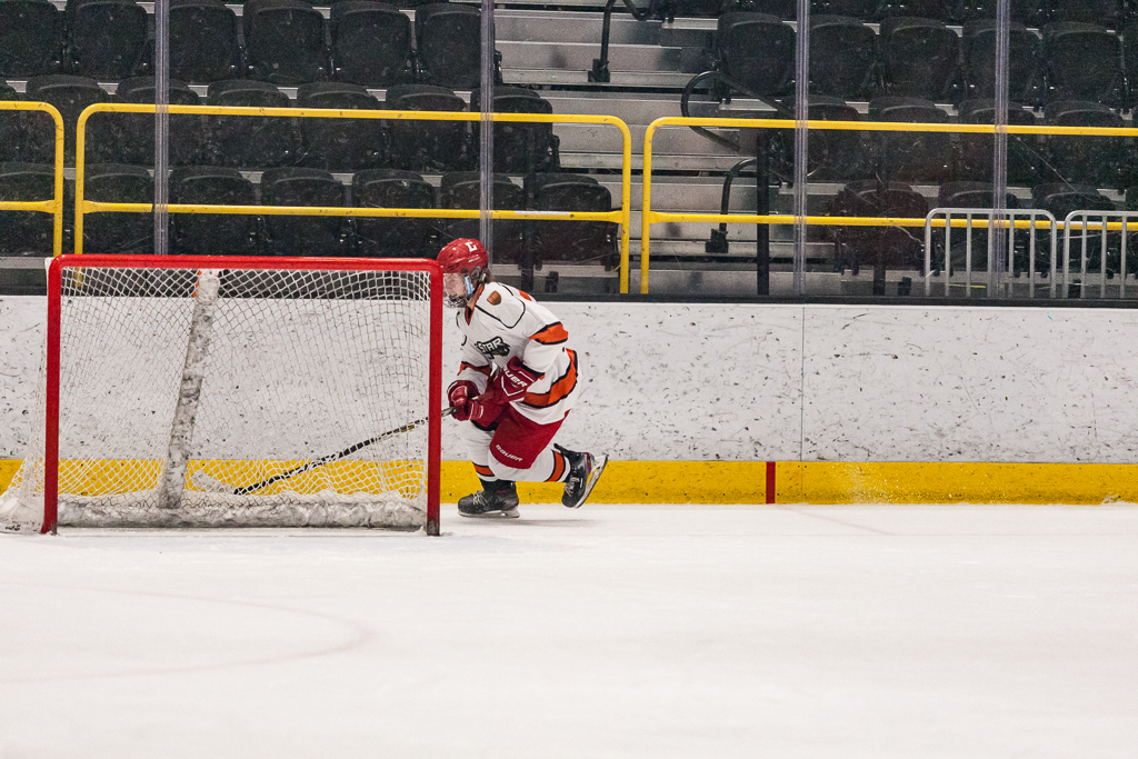 2020 ADHSHL All Star Game