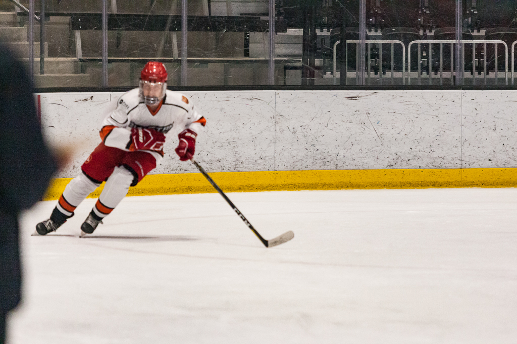 2020 ADHSHL All Star Game