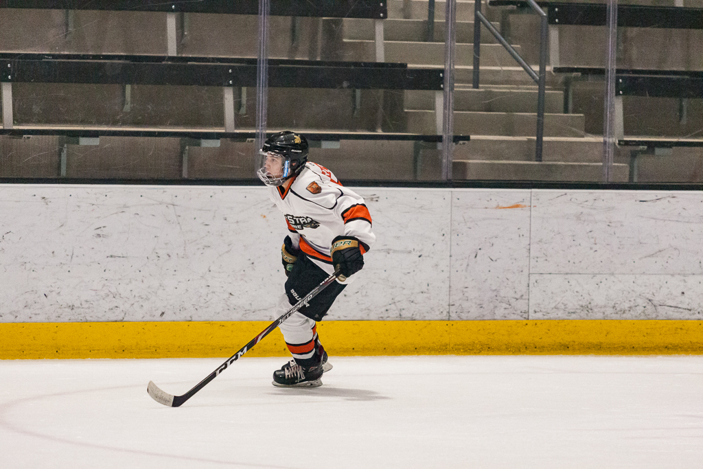 2020 ADHSHL All Star Game