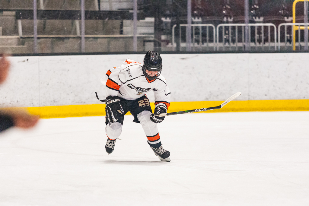 2020 ADHSHL All Star Game