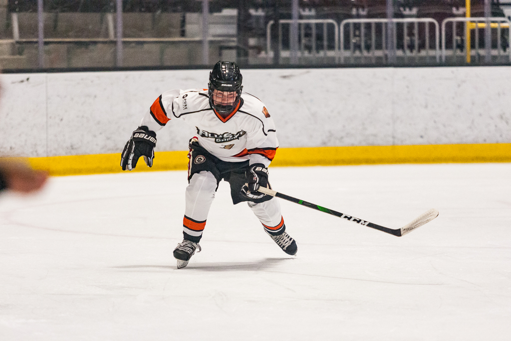 2020 ADHSHL All Star Game