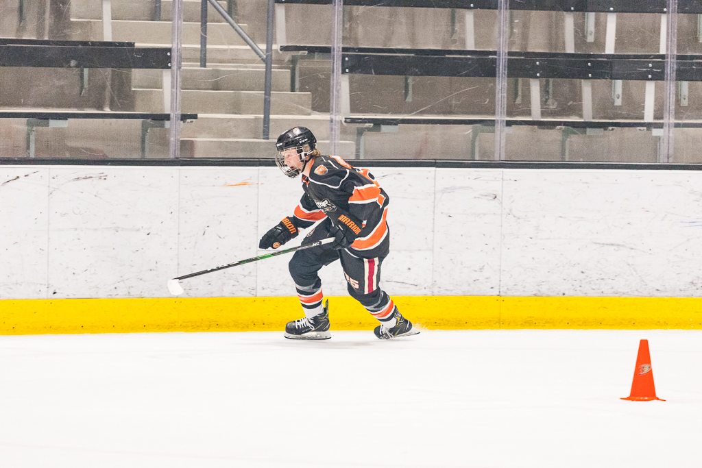 2020 ADHSHL All Star Game