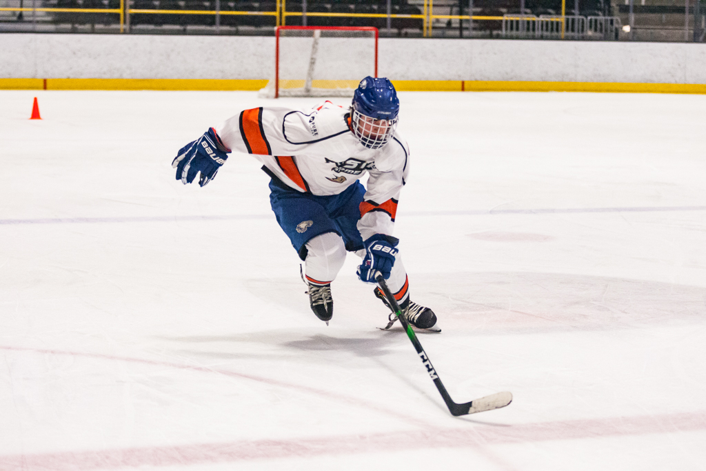 2020 ADHSHL All Star Game