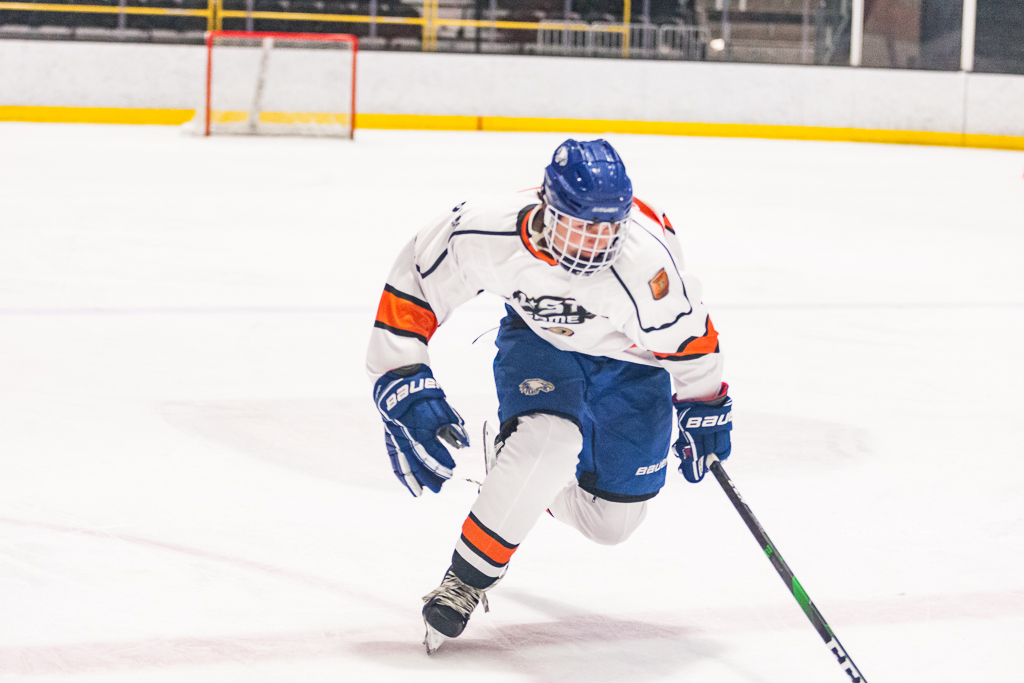 2020 ADHSHL All Star Game