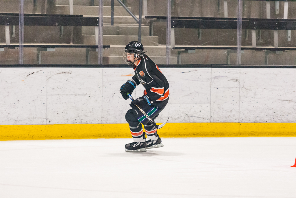 2020 ADHSHL All Star Game