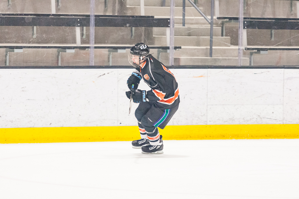 2020 ADHSHL All Star Game