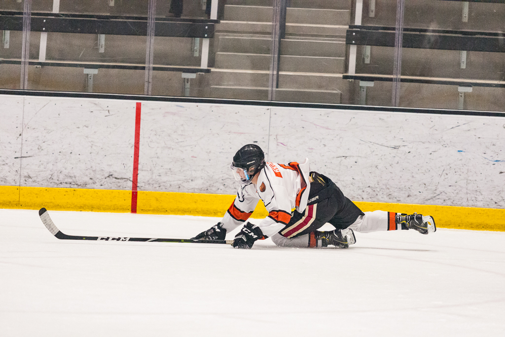 2020 ADHSHL All Star Game