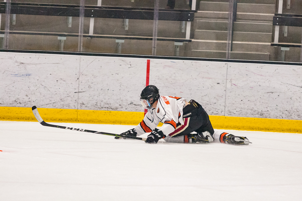 2020 ADHSHL All Star Game