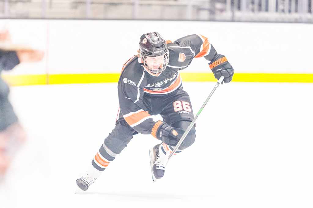 2020 ADHSHL All Star Game